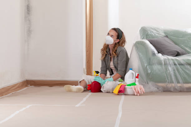 Reliable Bathroom Mold Removal contractor in Middleburg, VA by WQB Mold Removal